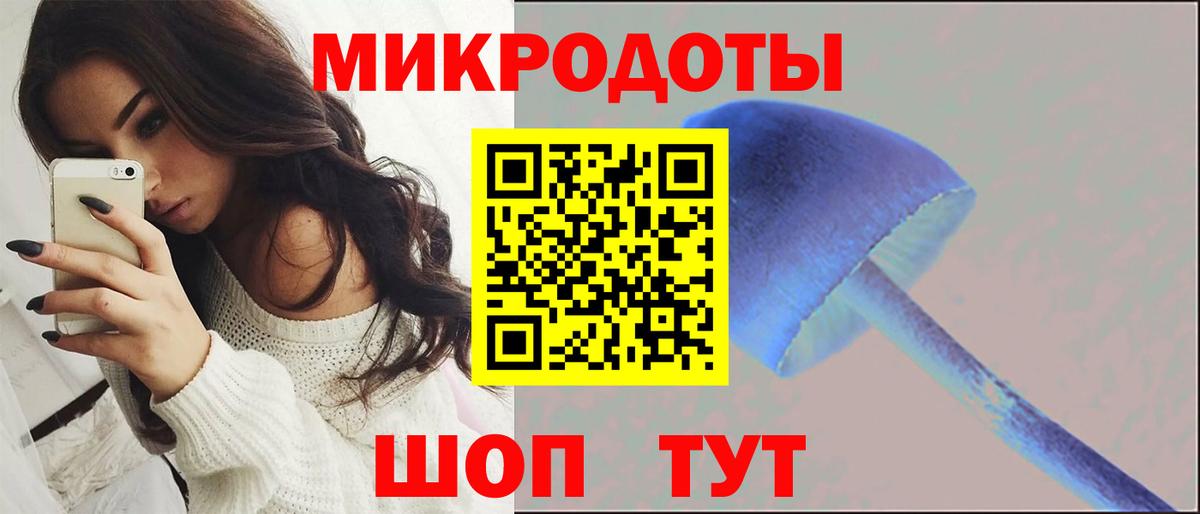 Псилоцибиновые грибы прущие грибы  Вход с VPN  Красноармейск 